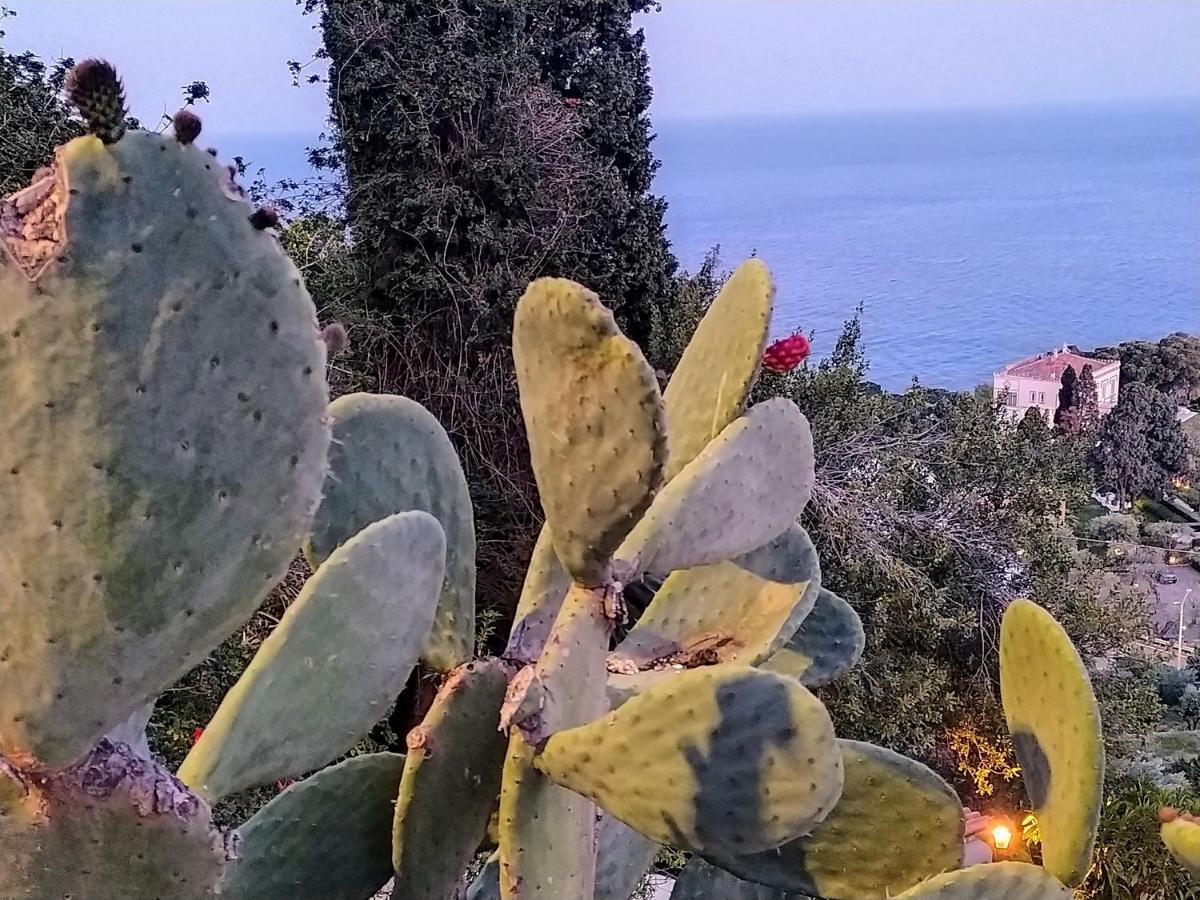 Blue Sky House Bed & Breakfast Taormina Dış mekan fotoğraf